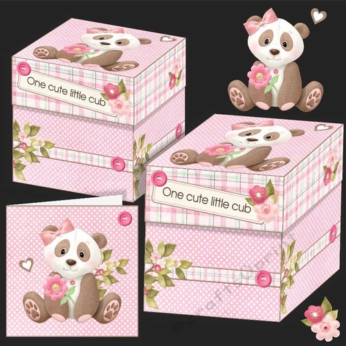 Girl Panda Gift Boxes