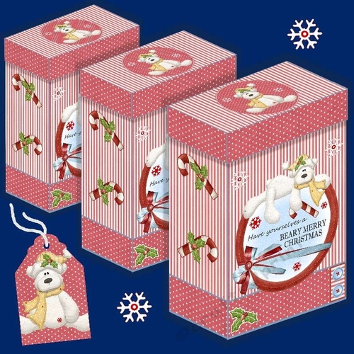Beary Merry Christmas Gift Boxes 