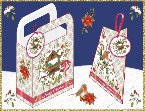 Robins In Winter Gift Bag & Triangular Treat Box