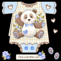 Boy Panda Onesie Card