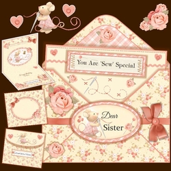Sew Special Envy Card