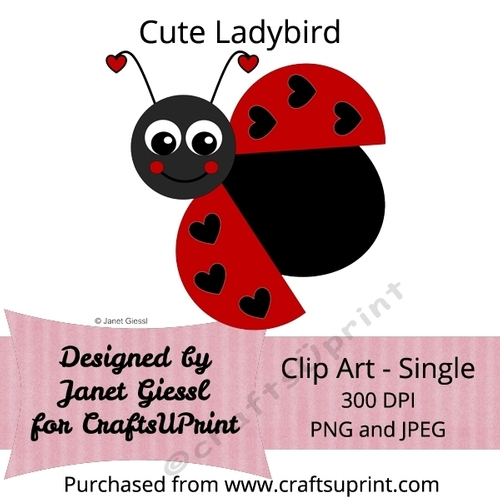 Cute Ladybird