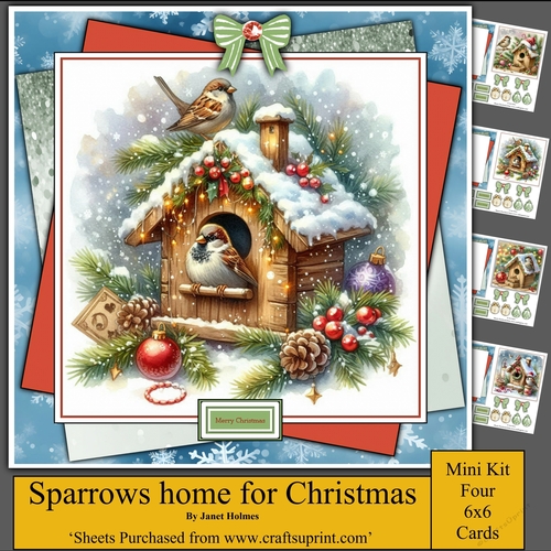 Sparrows home for Christmas
