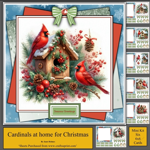 Cardinals Home for Christmas