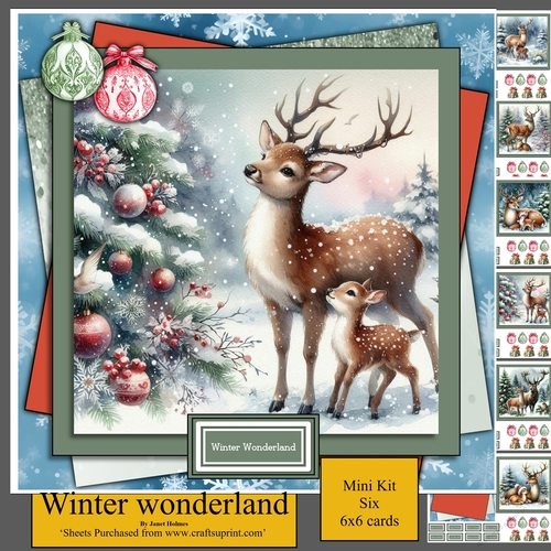 Winter Wonderland