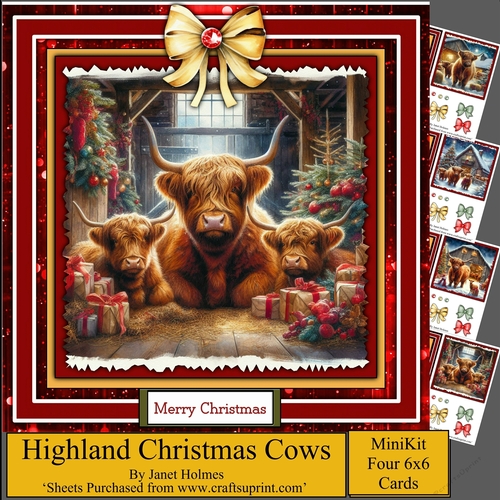 Highland Christmas Cows