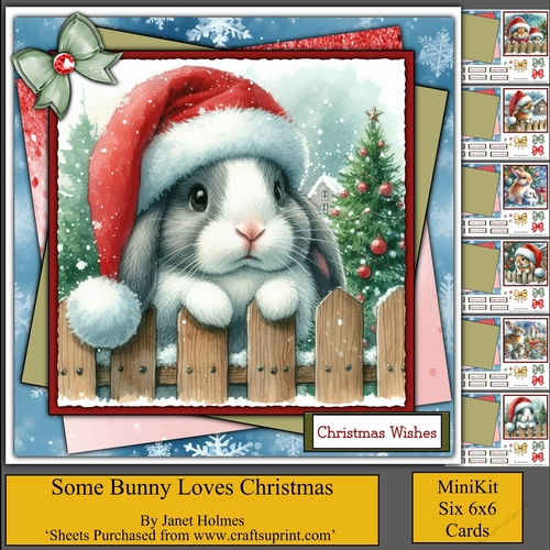 Some Bunny Loves You