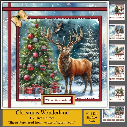 Christmas Wonderland