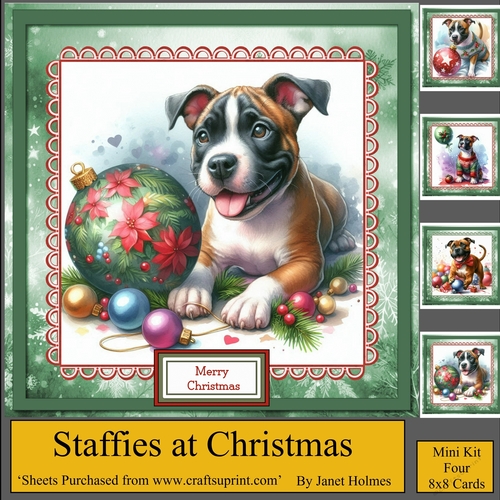 Staffies at Christmas