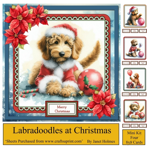 Labradoodles at Christmas