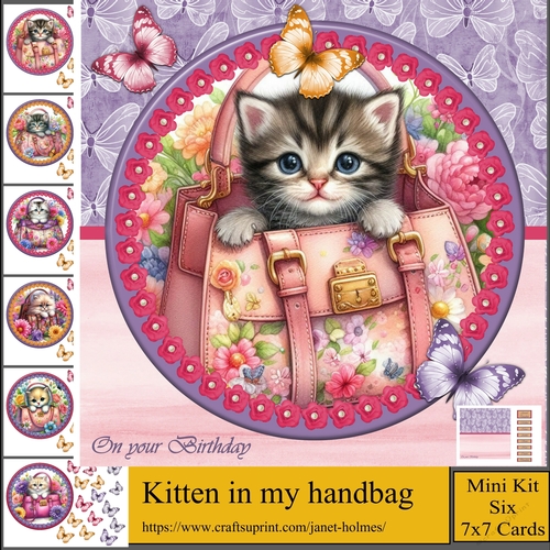 Kitten in my handbag