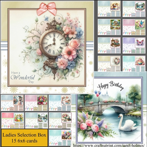 Selection box female Bumper kit of 15 cards 