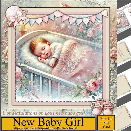 New Baby Girl