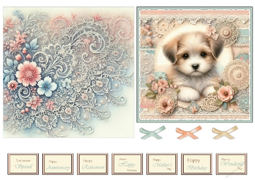 puppy n lace 1