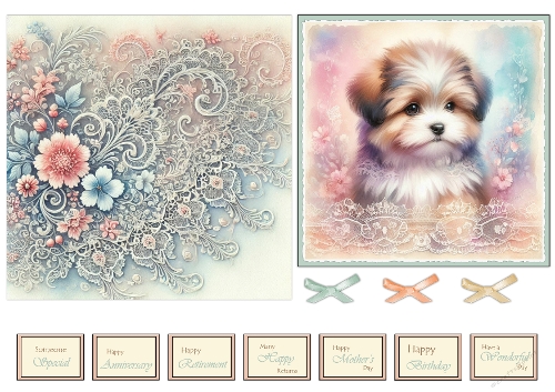 puppy n lace 4