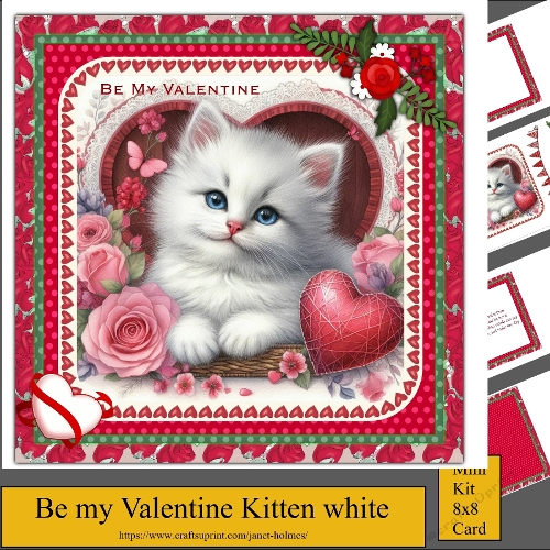 Be my Valentine White Kitten