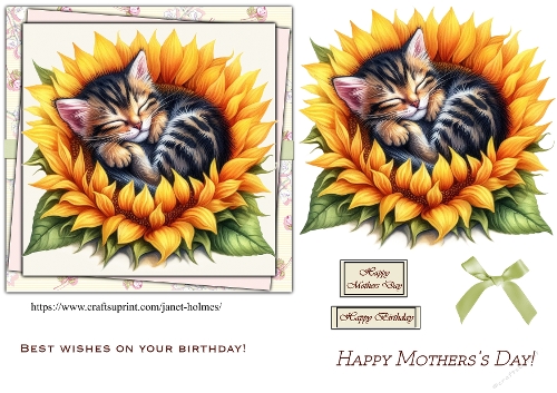 Sunflower Kitten,  Mothers day and Birthday