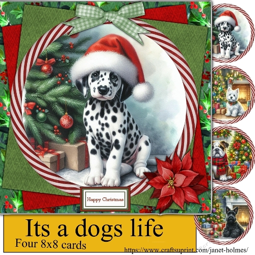 Its a dogs life Christmas 2025