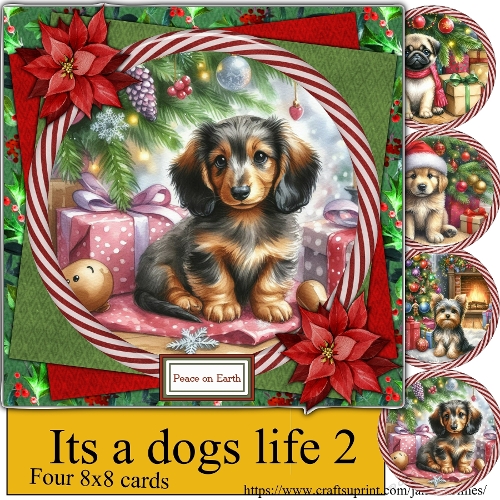 Its a dogs life 2 Christmas 2025