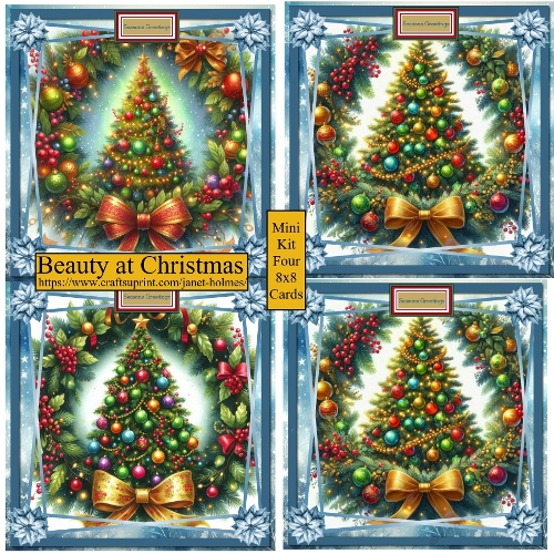 Beauty at Christmas 