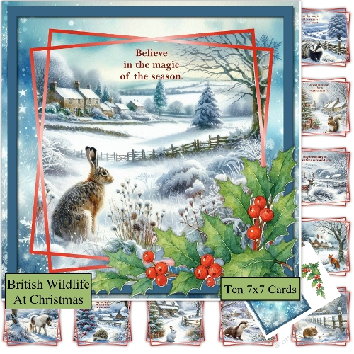 British Wildlife at Christmas