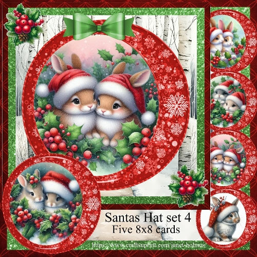 Santas Hat set 3