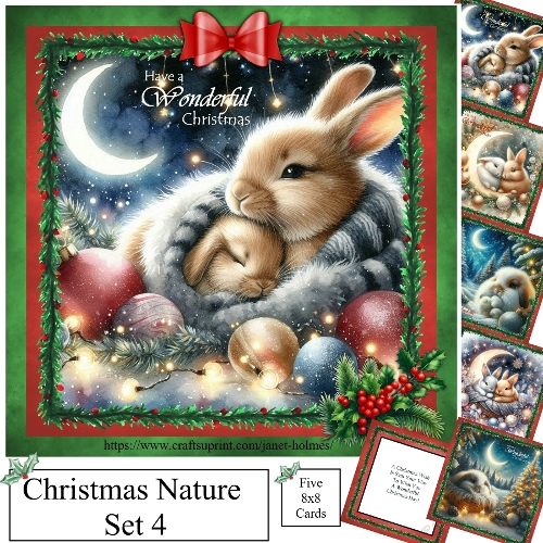 Christmas Nature set 4