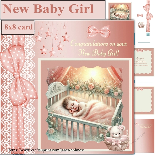 New Baby Girl 1