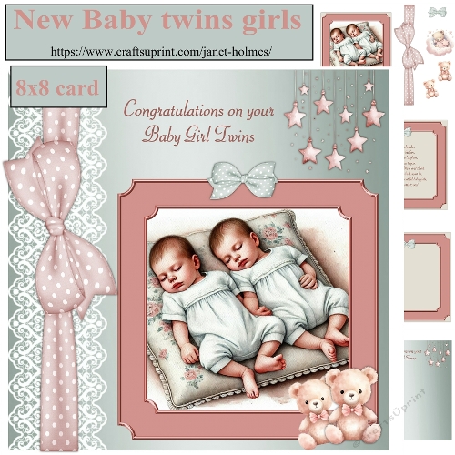 New Baby twin girls