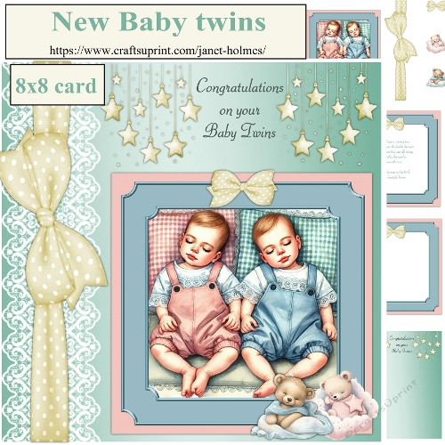 New Baby twins