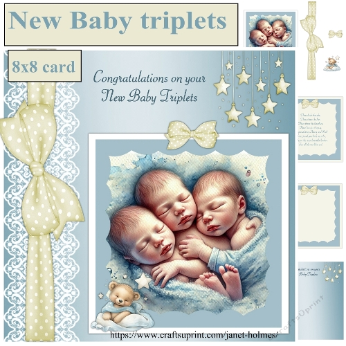 New Baby triplets 1