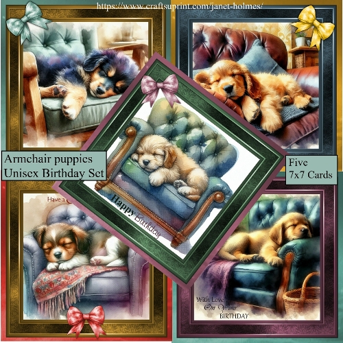 Armchair puppies unisex birthday set
