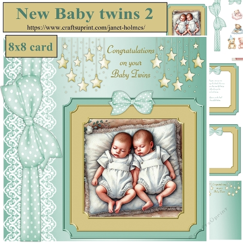 New Baby twins 2