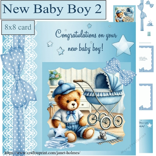 New Baby Boy 2