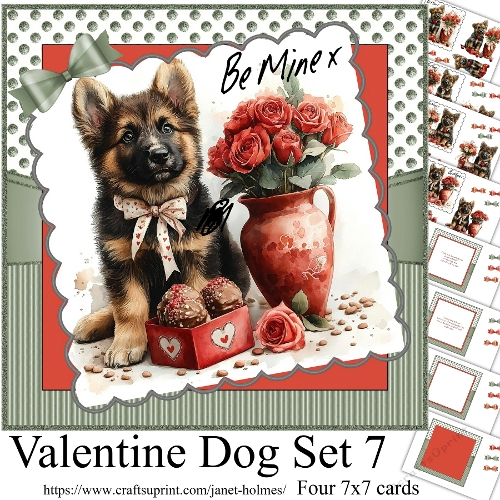 Valentine dog set 7