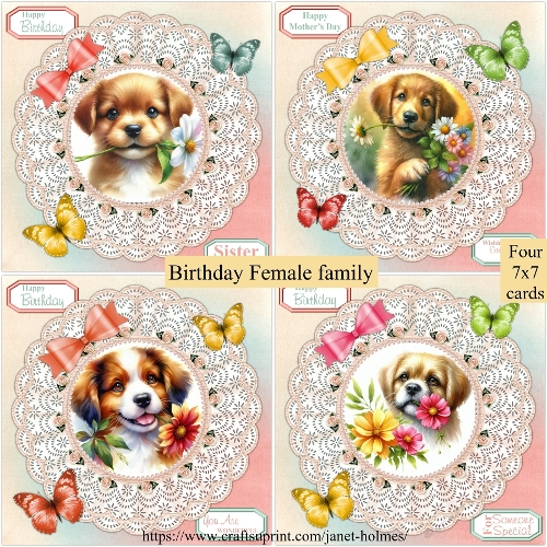 Birthday female family set 1