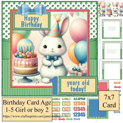 Birthday aged 1-4 girl or boy 2