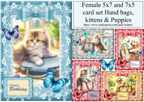 female 5x7 & 7x5 birthday set handbags, kittens and puppies