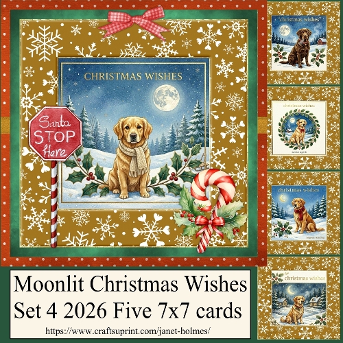 Moonlit Christmas Wishes set 4 2026