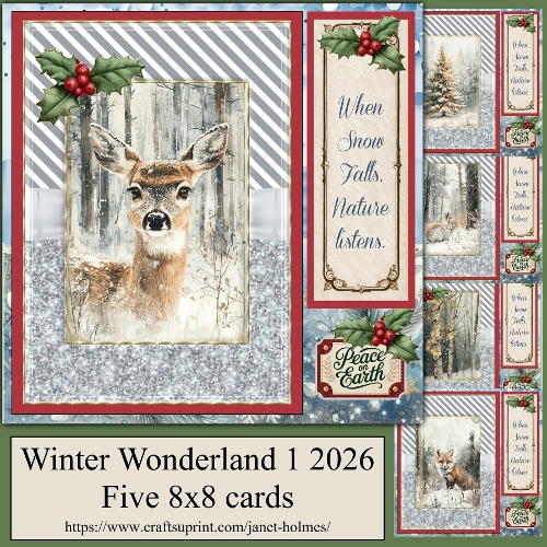 Winter Wonderland 1 2026