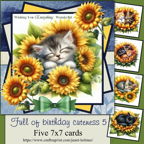 Full of Birthday cuteness 5 2026