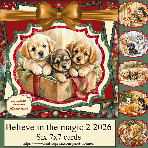 cup1454374_91280 - Believe in the magic set 2 2026