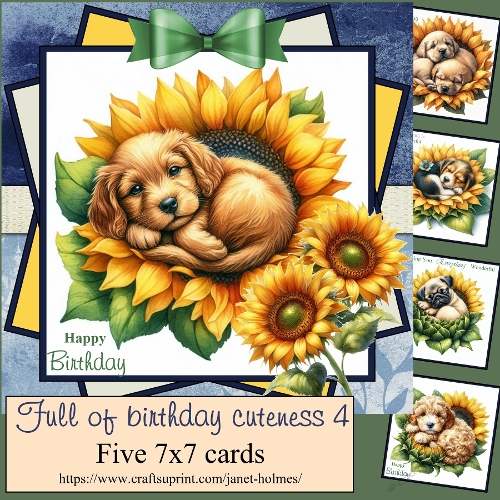 Full of Birthday cuteness 4 2026