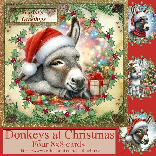 Donkeys at Christmas 