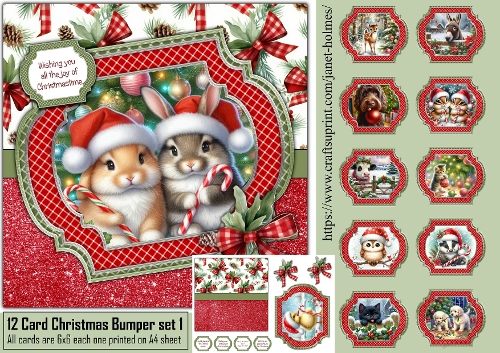 12 Card Christmas Bumper kit 1 2026
