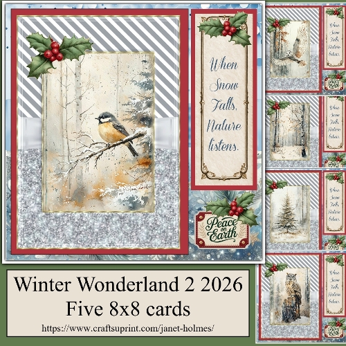 winter wonderland 2 2026