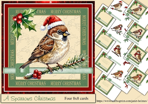 A Sparrows Christmas