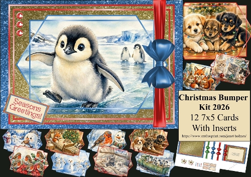 Christmas bumper kit 12 7x7 cards 2026