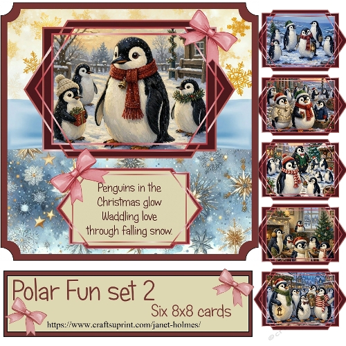 Polar Fun set 2 2026
