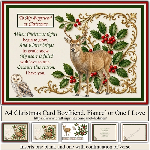 A4 Christmas Card BOYFRIEND, FIANCE or ONE I LOVE